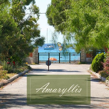 Amaryllis Summer Maisonettes ポッシディ 部屋 写真
